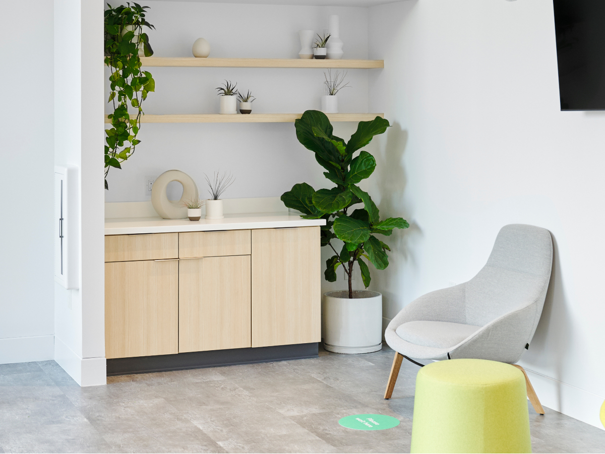 A bright, naturally lit entry and waiting room in one of our Carbon Health clinics.