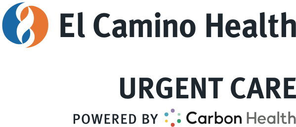 el camino